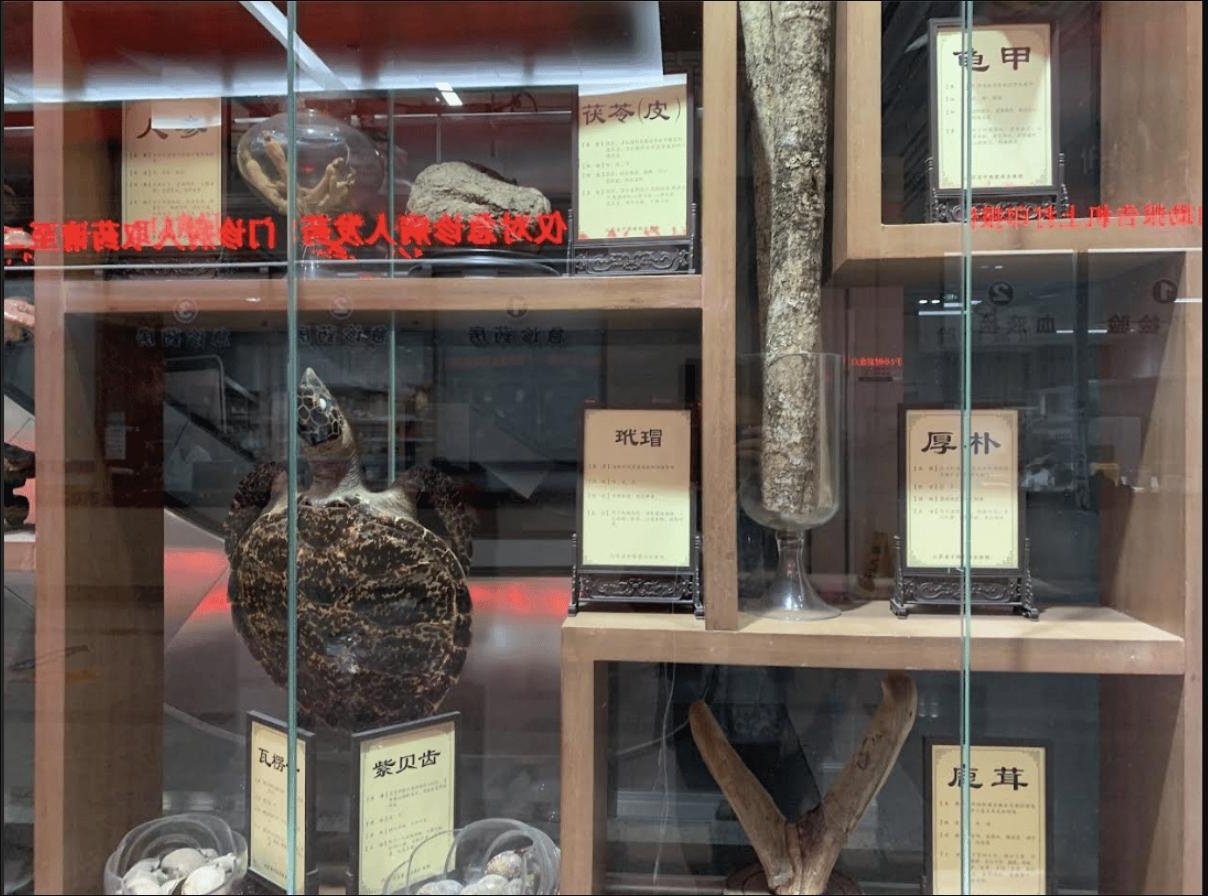 Chinese medicine specimens on display at the Chinese and Western Integrated Medicine Hospital